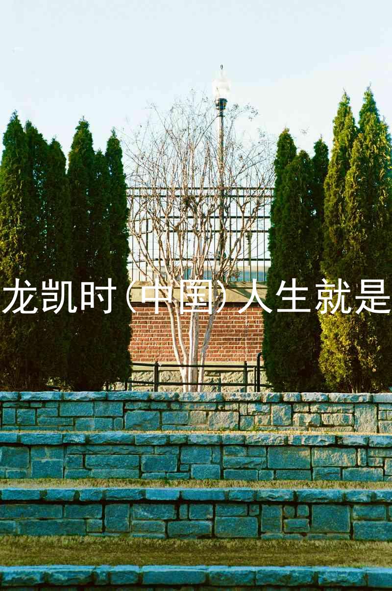 尊龙凯时(中国)人生就是搏